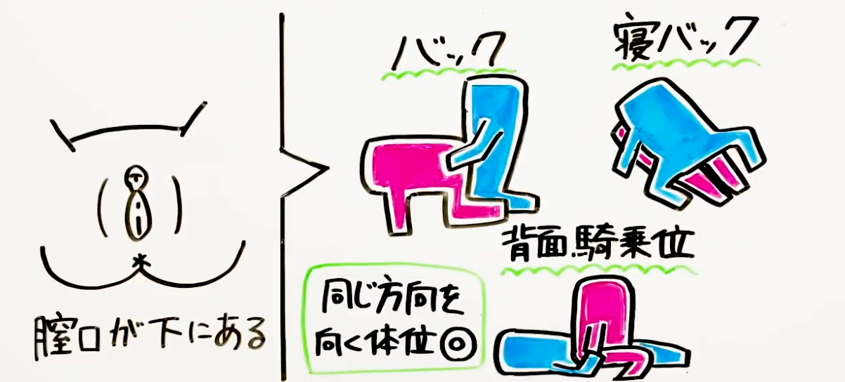 下付きまんこが多いっす - 真性クリトリス包茎 マンコ