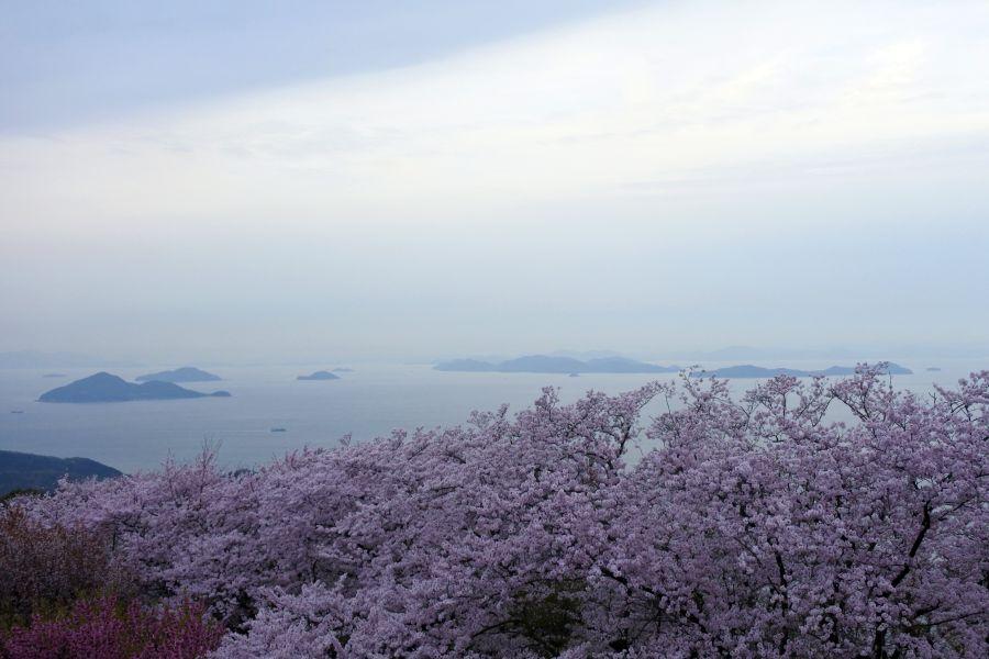 带户外座椅的高松市民宿 - 香川, 日本 |