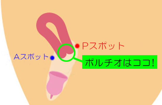 神の手◇膣内愛撫法セミナー ミチコの場合１ 解説編