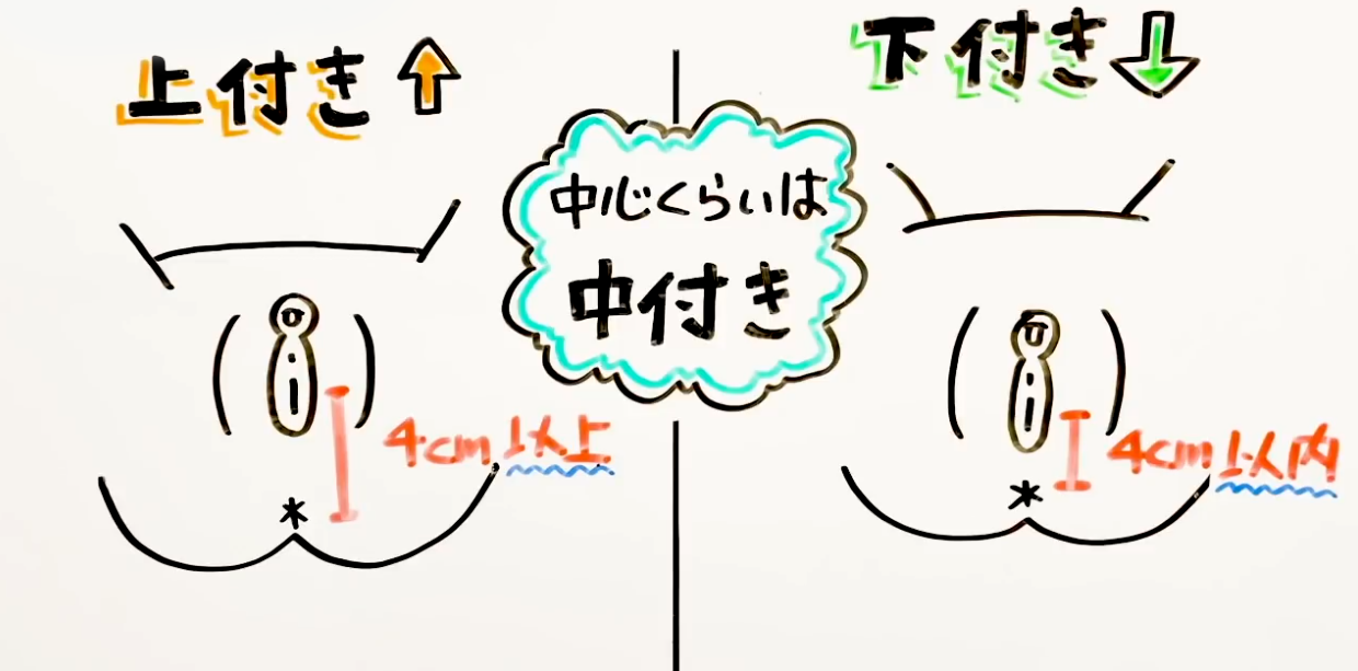 膣の位置は年齢で変わる！？上付き、下付きについて婦人科医に聞きました。 | ランドリーボックス