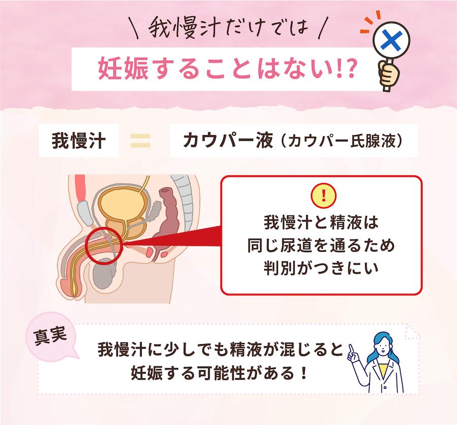 専門医が解説！我慢汁で妊娠ってするの？ – メンズ形成外科 | 青山セレス&船橋中央クリニック