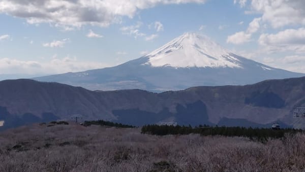 家族との日本旅行の合間に“立ちんぼ”を買いに来る外国人男性――同世代Dが見た歌舞伎町“立ちんぼ”の変遷と観光地化｜FNNプライムオンライン