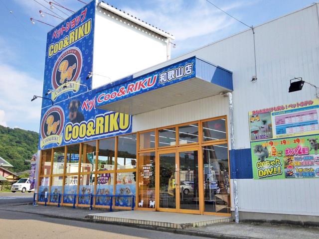 和歌山県でアダルトDVDを販売しているお店