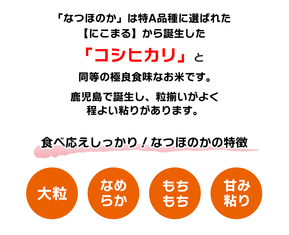 0102701a】東串良町産！なつほのか玄米(3kg×2袋・計6kg)令和6年産 玄米 お米 こめ