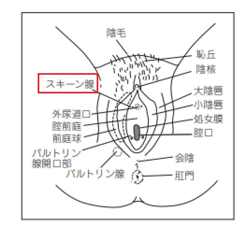 佐藤しお 港区女子の敏感潮吹きセックス エロ画像すももちゃんねる