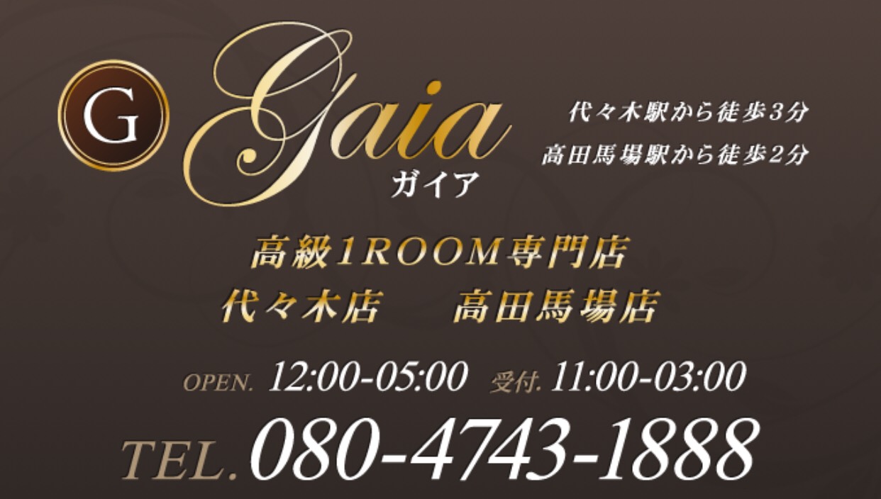 新宿南口/東南口【Gaia（ガイア）南新宿】メンズエステ[ルーム型]の情報|ゴリラ