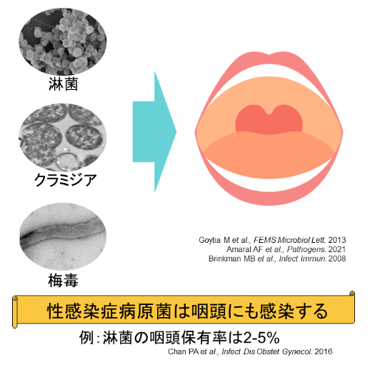 のどの痛み・腫れ・違和感 - 性病の症状 -