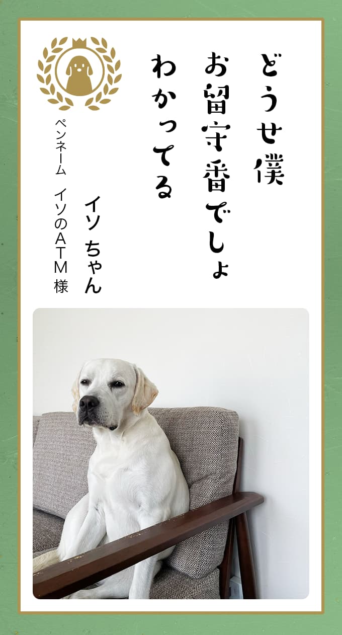 ちいめろちいめろの本名や年齢やすっぴんは？旦那や彼氏、子供や妹の噂と年収情報も | Tuber-Note