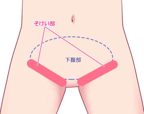 ポルチオとは？ 開発するとセックスが気持ちいい？ |