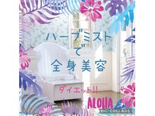 船橋市】３路線が交わる便利な駅「西船橋」の駅ナカに行ってみよう♪