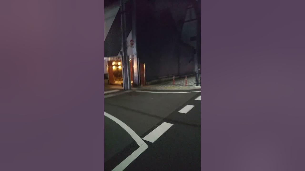 ルポ路上売春：買春客待ち女性80人検挙 歌舞伎町・大久保公園の「立ちんぼ」 |