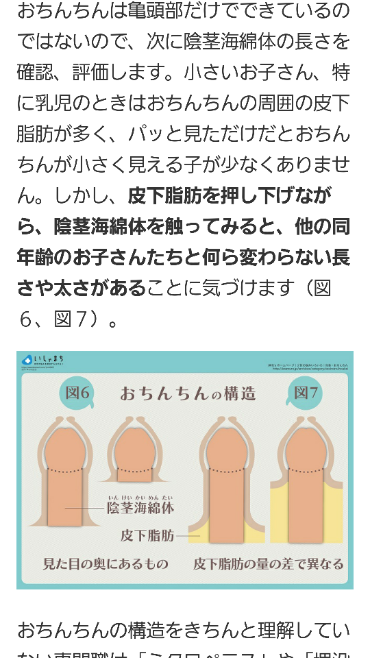 ペニスのサイズはどれくらい？TENGA社内で測ってみた - TENGAヘルスケア プロダクトサイト