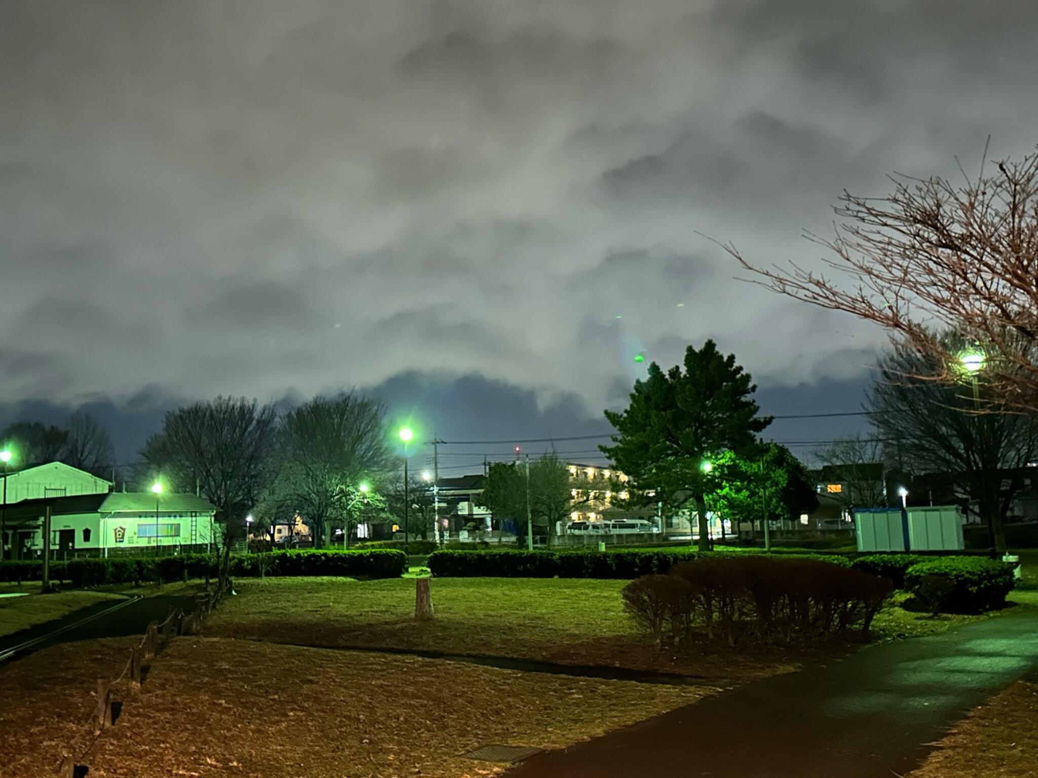 写真 : 万願寺中央公園 -