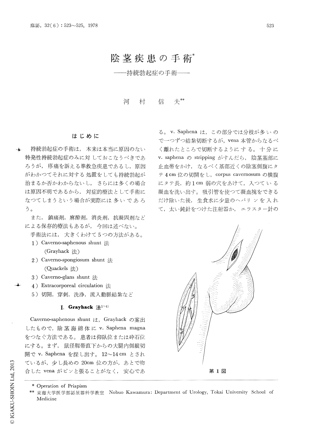 陰茎持続勃起症の5例 (臨床皮膚泌尿器科 20巻10号) |