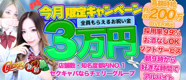 てぃな」花影(かえい)｜錦糸町のセクキャバ情報【キャバセクナビ】