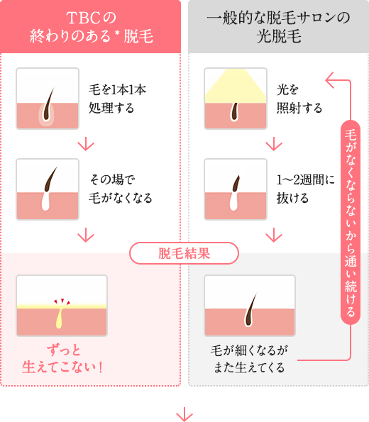 毛髪診断士監修】毛根が死滅したらアウト？髪の毛を復活させるために知るべきこと | スカルプD