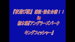 ダナン在住日本人のおすすめ！人気夜遊びスポット7選！ | ロコタビ