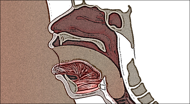 喉の奥深くをチンコで刺激！正しいイラマチオのやり方・調教方法