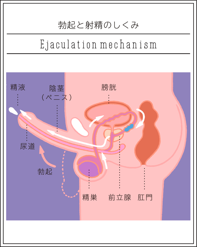 今すぐセックスしたい！即エッチできる9つの方法と簡単かつ成功率が高いおすすめの方法を徹底解説