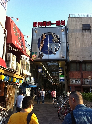 飛田新地～新世界 l 守山市 まちづくり会社