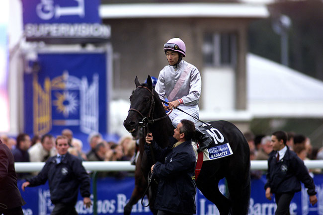 武豊「日本馬負かしてやる」 英ダービー４着馬ブルームで凱旋門賞参戦 -