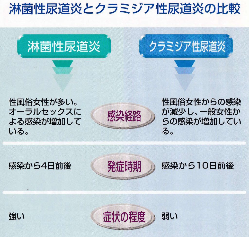 風俗ソムリエも苦悶した!!性病体験記『毛じらみ』編【閑話休題】 | 夢見る乙女男性求人ブログ