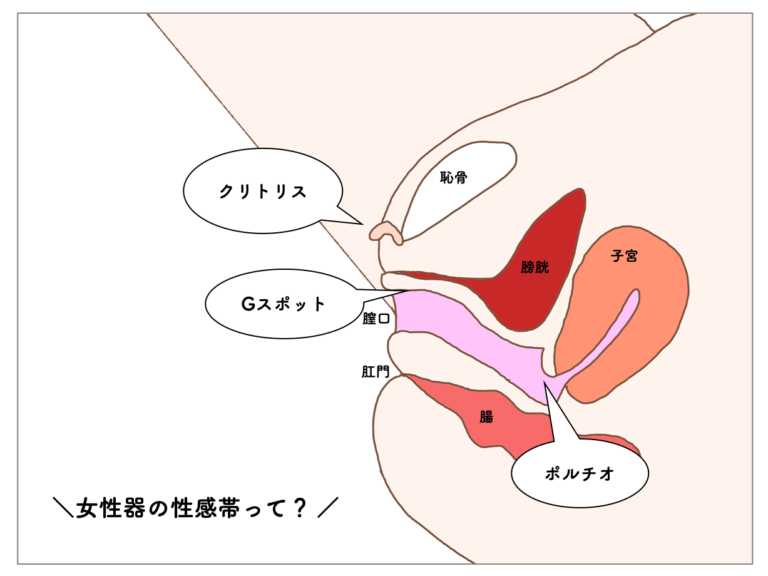 中イキする膣の開発方法3つ ！ イク体になれるGスポットのオナニーもご紹介