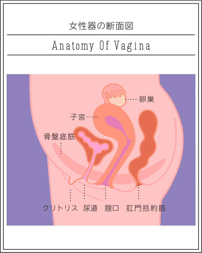 前戯は何をする？ 男女で違う挿入までの準備 ｜ iro iro