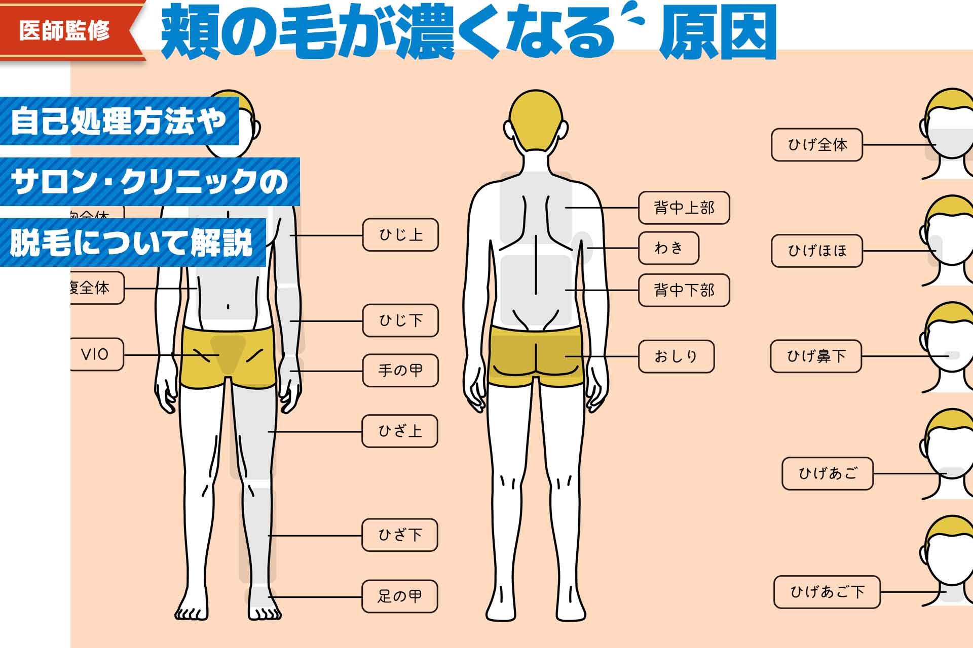 毛抜きで毛を抜き続けると毛根が死んで脱毛効果がある？脱毛の嘘と本当 ｜ エピステ