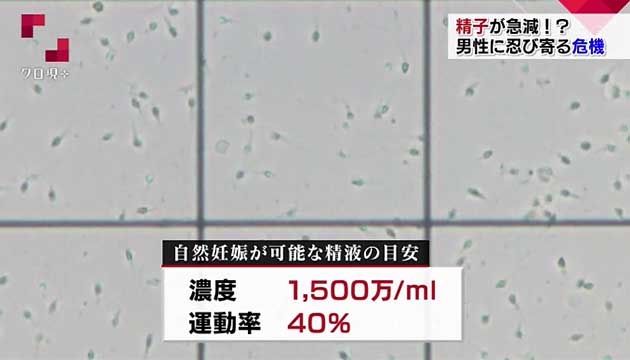 人工授精（AIH）について | 恵愛生殖医療医院