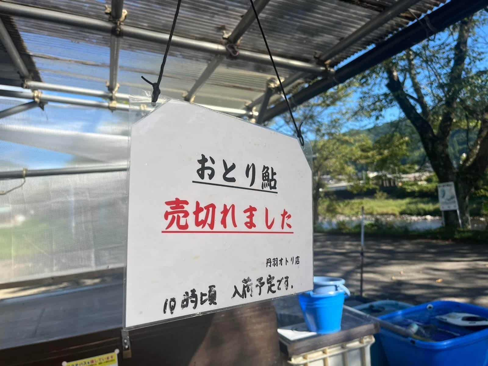 名川・長良川】季節移り行く奥長良で金ピカ秋鮎を狙う！(釣りビジョンマガジン) - goo ニュース