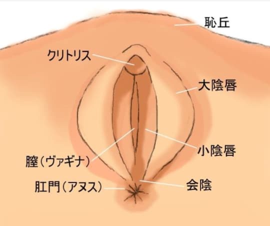 どうやってするの？初心者のための「正しいアナルセックス」 ｜ bda ORGANIC｜ビーディーエー