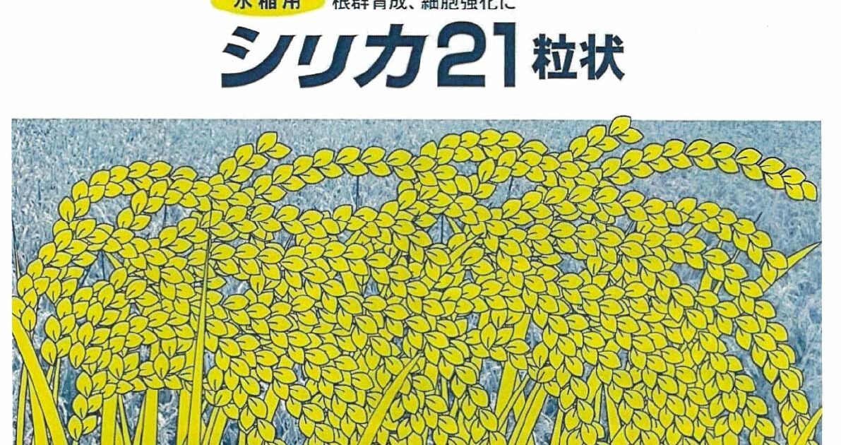 山口県限定 お米作りに一役 【ソフトシリカ】 水稲用「シリカ21」のご紹介 -