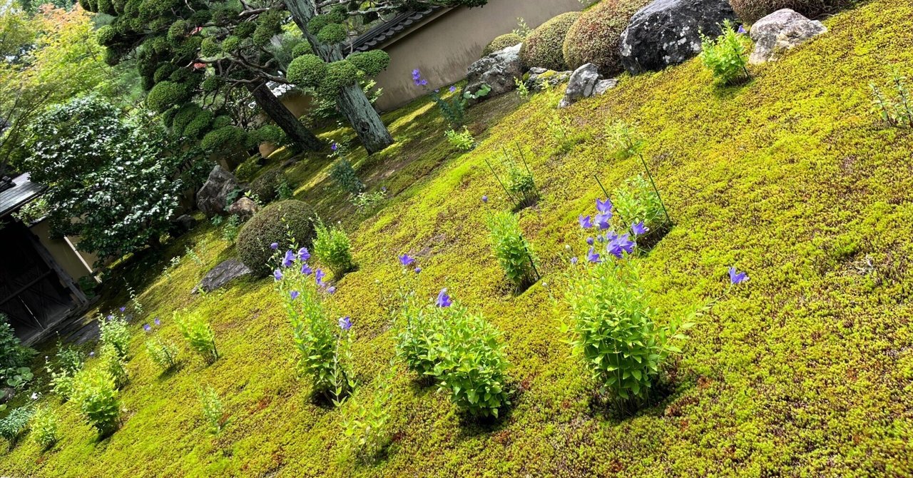 うだるような暑さの夏の京都には行くべき？行かないほうがいい？夏の京都観光を快適にするおすすめのアイテムもご紹介！ - LL.cool-F