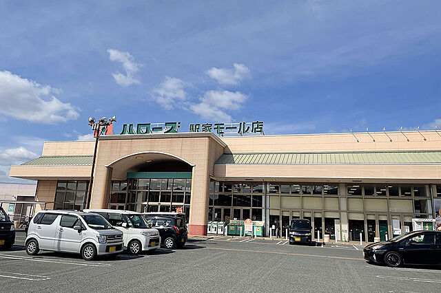 駅家駅周辺のザグザグのチラシ・特売情報 掲載店舗一覧 |