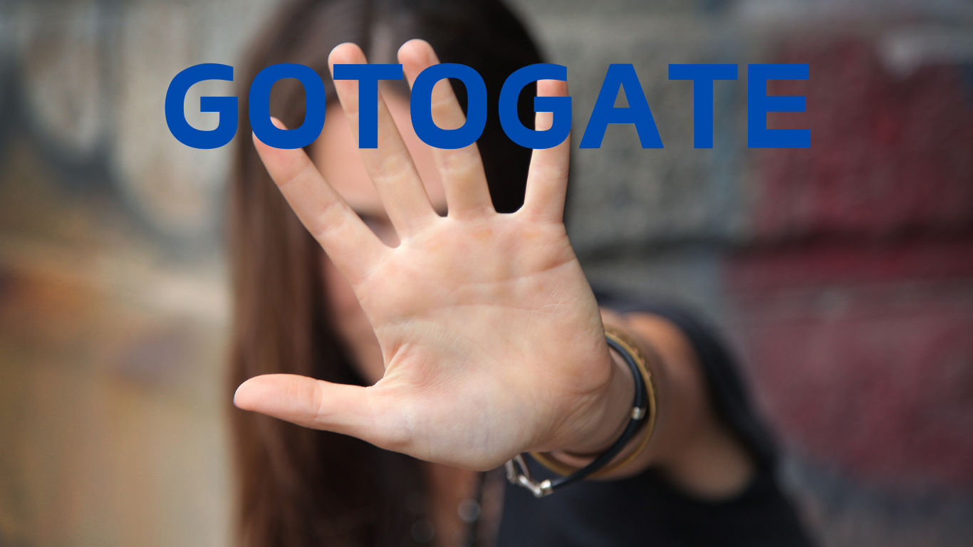 Gotogateの評判と口コミ(独自アンケート実施) – 自分で実際乗ってみた！ |