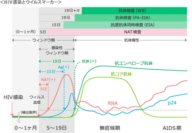 検査について｜一般の皆さまへ｜北海道HIV/AIDS情報 北海道大学病院HIV診療支援センター