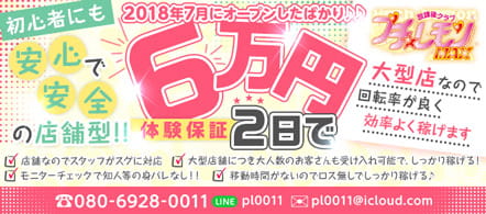 販売終了・アダルトグッズ、大人のおもちゃアーカイブ】プチレモン ジュニアショーツ ホワイト | アダルトグッズ通販・大人のおもちゃなら【M-ZAKKA