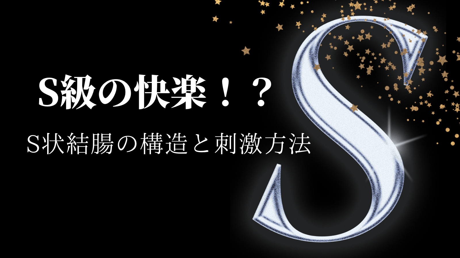 究極の性感帯、S字結腸の解説 - アナラーズディライト