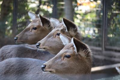 ZOO溝の口|神奈川県川崎市の紹介